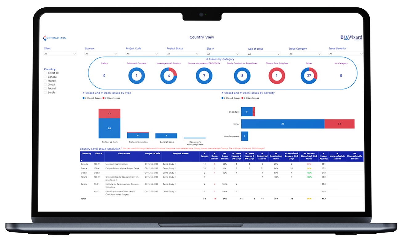 BI Wizard Dashboard Mockup 2